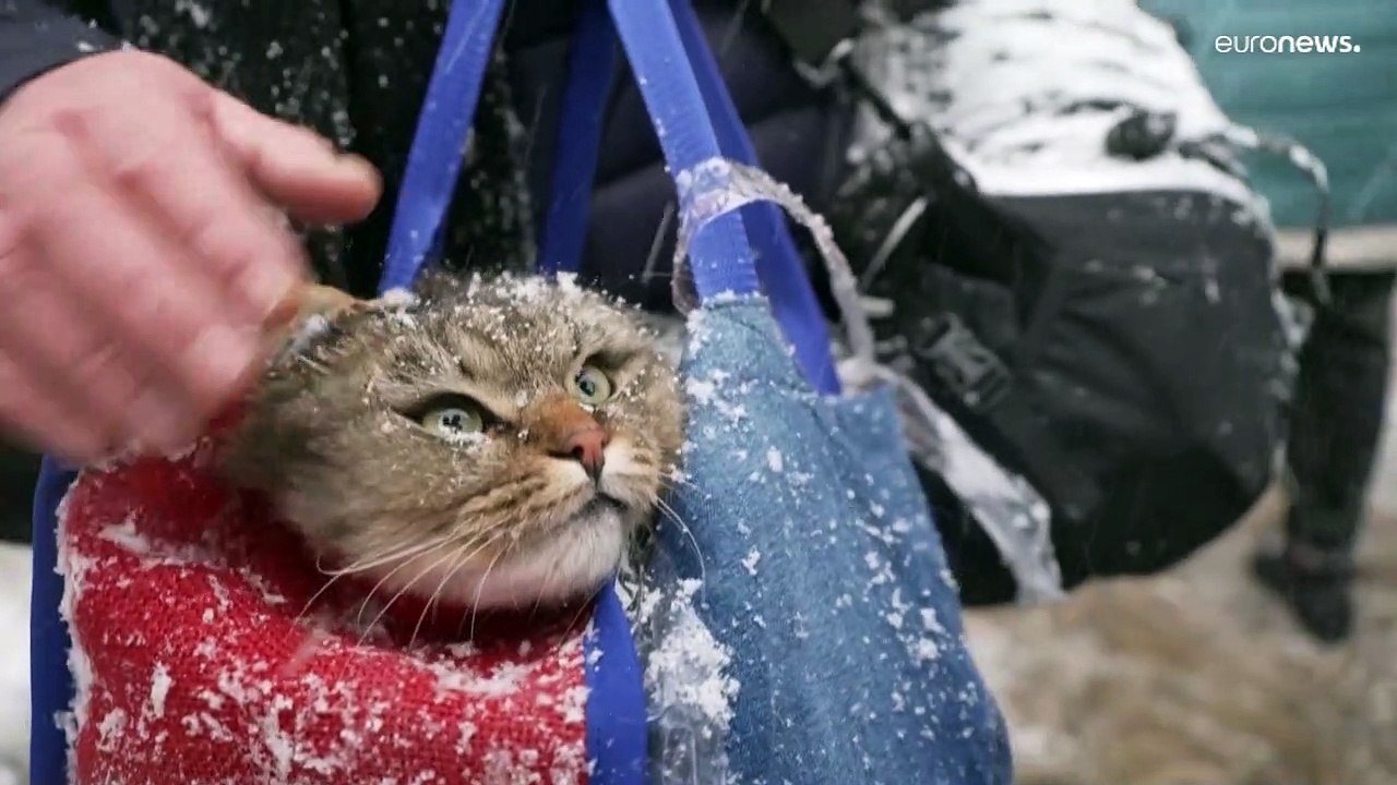 Ukraine-Krieg: Notleidende sind überwiegend 60 Jahre und älter