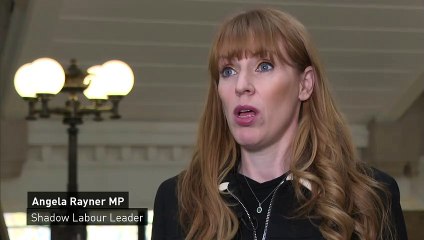 Rayner calls on government to answer PPE contract questions