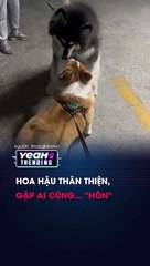 Hoa hậu thân thiện gặp ai cũng Hôn cho hun miếng ik mò