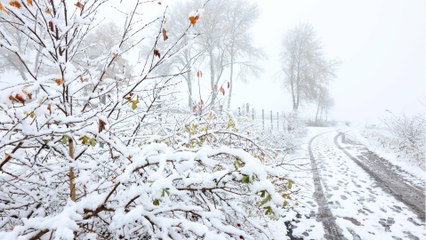 "Russenkälte" - Deutschland droht ein kalter Winter
