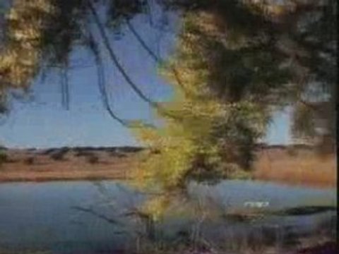 2pac - i wonder if heaven got a ghetto