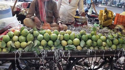 पर्यटन नहीं अमरूद की बागवानी है जिले की अर्थवस्वस्था की रीढ़