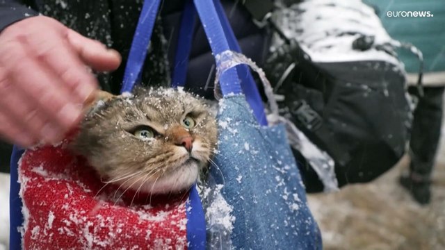 Раньше у меня был дом : доклад Amnesty International о пожилых людях в Украине в условиях войны