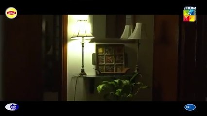 Hum Tum - [Lyrical OST] - Singers_ Ali Zafar