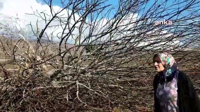Amasya'da köylülerden OSB'ye karşı buğdaylı protesto