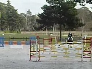 Fontainebleau 2008 AM1GP Idol