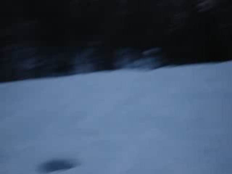 luge
