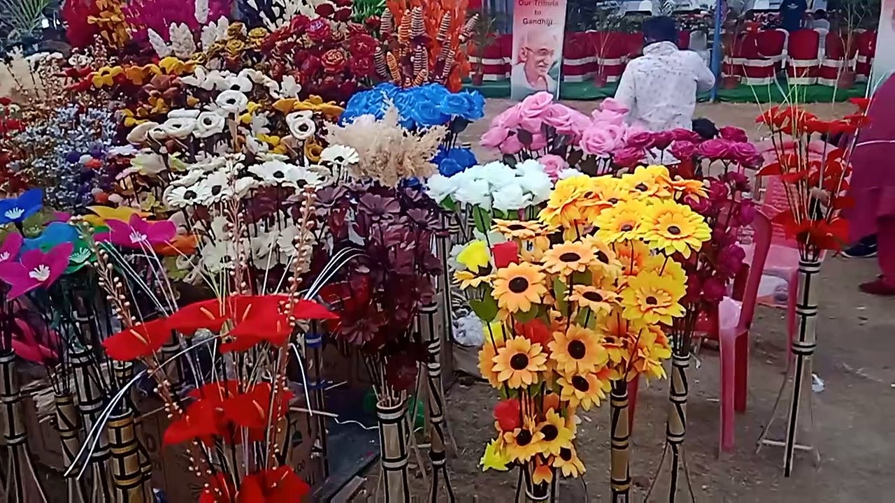 I surprised to see the flower