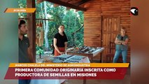 Primera comunidad originaria inscrita como productora de semillas en misiones