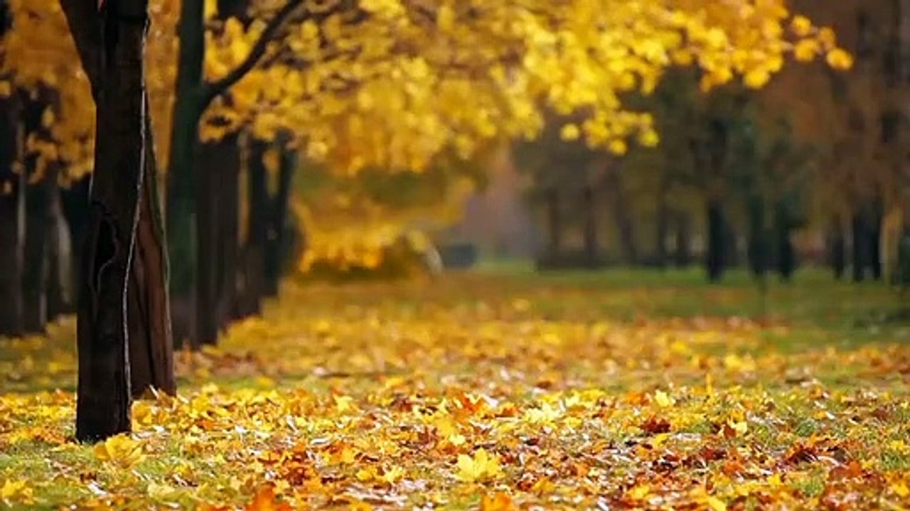 start your day with relaxing music#shorts