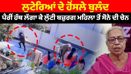 ਪੈਰੀਂ ਹੱਥ ਲੱਗਾ ਕੇ ਲੁੱਟੀ ਬਜ਼ੁਰਗ ਮਹਿਲਾ ਤੋਂ ਸੋਨੇ ਦੀ ਚੇਨ | OneIndia Punjabi