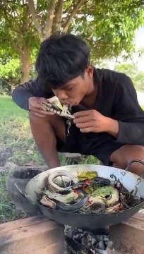 Unbelievable a lot of Water Snake in Tree Hole-Amazing Catch & Cook water Snake Eating Yummy