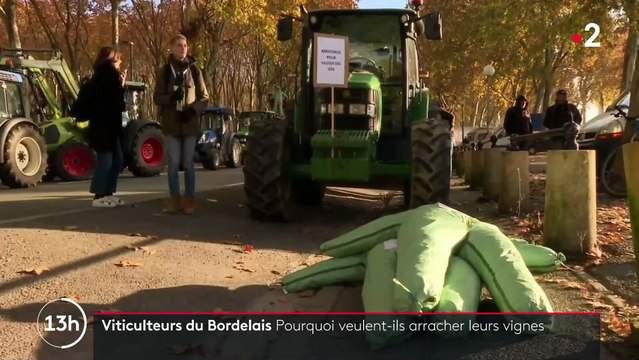 Plusieurs centaines de vignerons ont défilé dans Bordeaux pour obtenir une prime à l'arrachage afin de répondre à une crise de surproduction qui fait chuter les prix - VIDEO