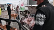 Yozgat'ta Sokak Hayvanlarını Besleyip Bakımını Yapan 2 Hayvansever Destek Bekliyor