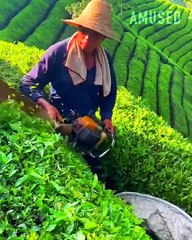 Incredible Speed and Precision: Workers Who Nail It Every Time ⚙️