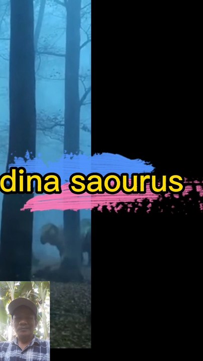 Dina saurus