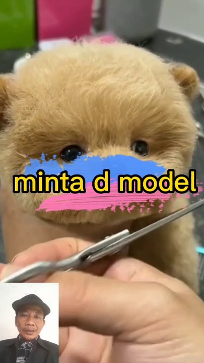 Kucing minta di salon