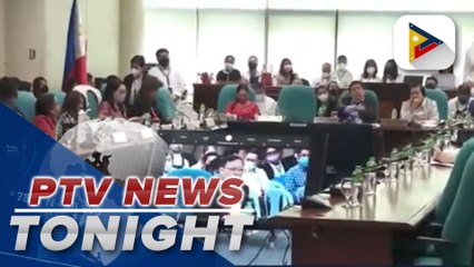 CA Members ask status of gov't digitalization plan from DICT chief