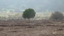 Amasya Çambükü Köylülerinden Ayşe Celep: 