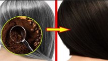 कॉफ़ी से बाल काले करने का जबरदस्त तरीका | सफ़ेद बालों पर कॉफ़ी लगाने से क्या होता है | Boldsky *health