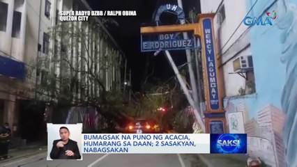 Bumagsak na puno ng acacia, humarang sa daan; 2 sasakyan, nabagsakan | Saksi