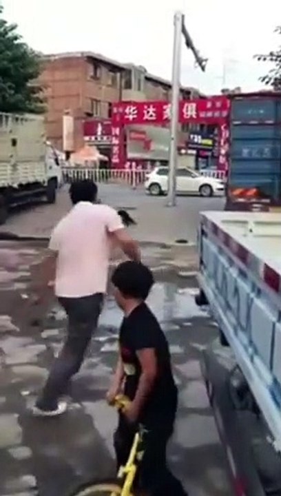 Funny monkey  vs puppy...