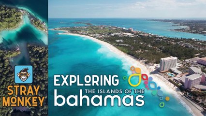 Traveling to the Bahamas - A Stray Monkey Trip