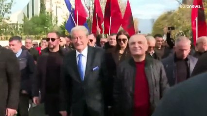 Albanian opposition leader attacked during anti-government protest