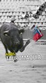 Adiós a las corridas de toros en la Plaza más grande de México