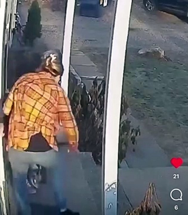 Une mère aide sa fille qui se fait attaquer par un raton laveur devant la maison