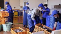 Fukushima prepara despejo de águas descontaminadas no mar