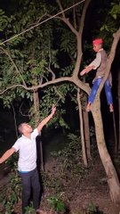 গভীর রাত্রে মাদ্রাসা ছাত্রকে গাছের মগডালে উঠিয়েছে এক যুবতী নারী | ghost meeting