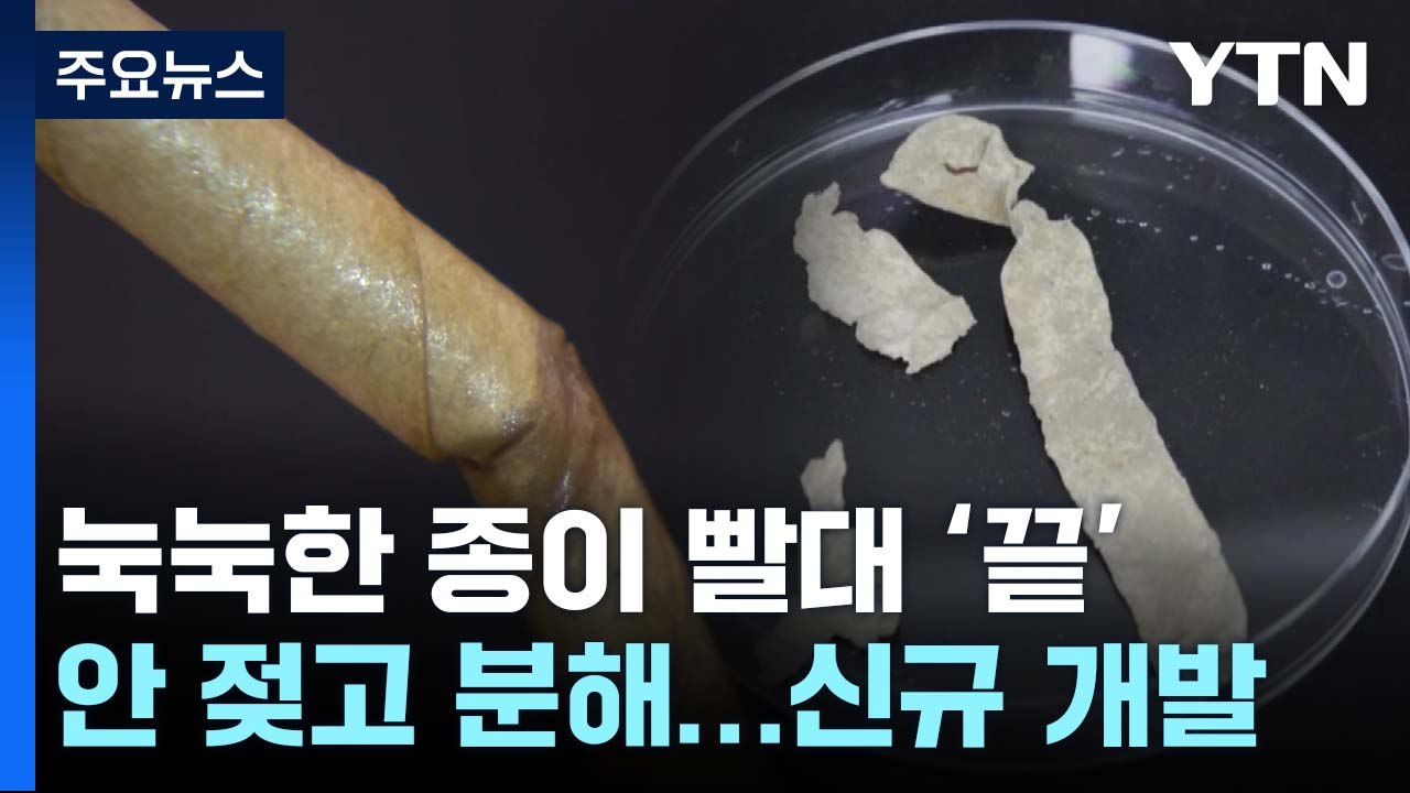 눅눅한 종이 빨대 '끝'...안 젖고 잘 분해되는 빨대 개발 / YTN
