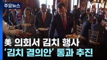 美 민주당 새 리더도 공동발의한 '김치 결의안' 통과 추진 / YTN