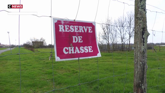 La chasse interdite le week-end et pendant les vacances