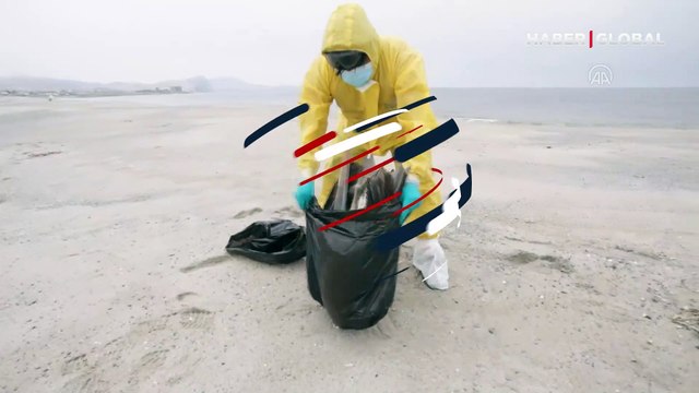 Kuş gribi şüphesi! 13000 pelikan öldü