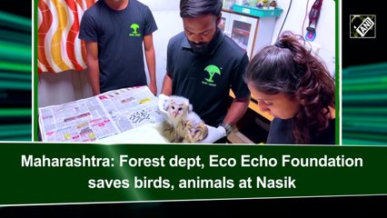 Maharashtra: Forest dept, Eco Echo Foundation saves birds, animals at Nasik