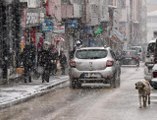 Erzurum, Kars ve Ardahan'da soğuk hava etkisini sürdürüyor