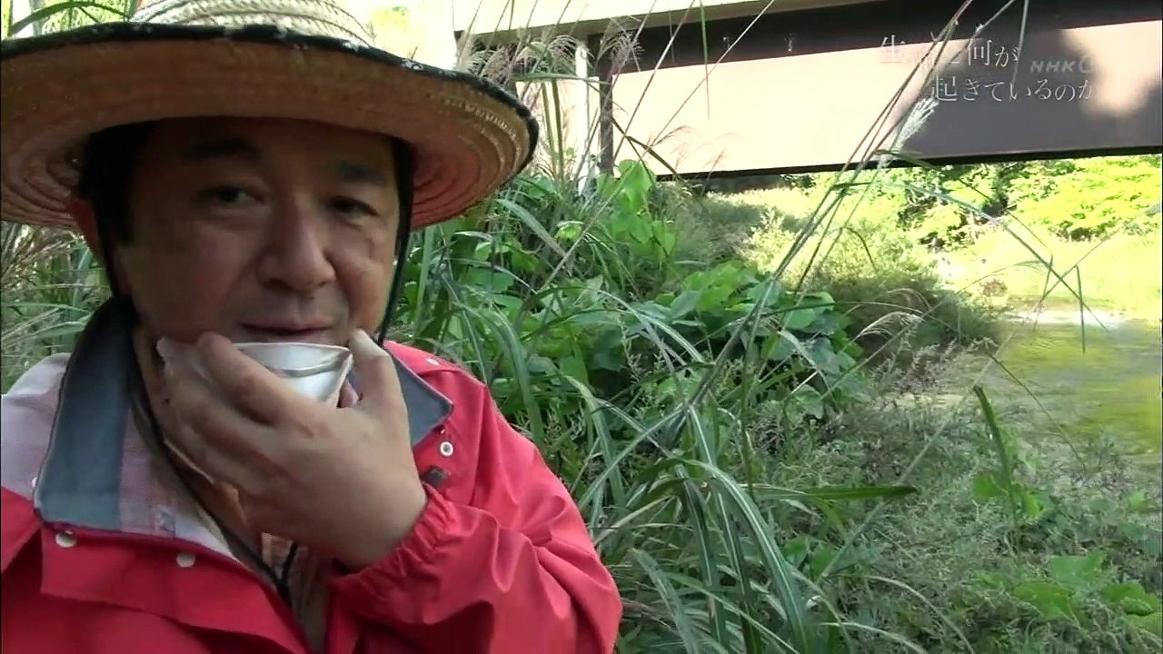 明日へ支えあおう「生命に何が起きているのか〜阿武隈山地・科学者たちの挑戦〜」 0310 201506071005