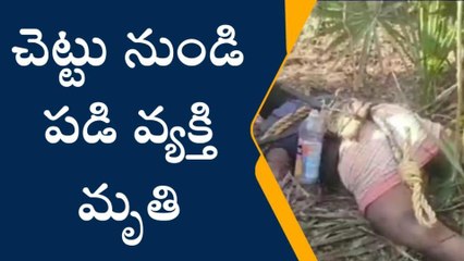 అబ్దుల్లాపూర్ మెట్: తాటి చెట్టు పై నుండి పడి వ్యక్తి మృతి