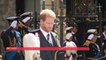 Prince Harry Defends Himself With THIS Radical Statement