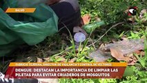 Dengue destacan la importancia de limpiar las piletas para evitar criaderos de mosquitos