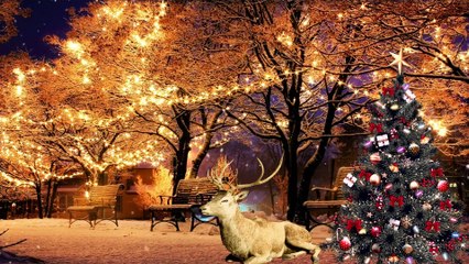 Relaxing Music | Christmas Song | Christmas Carols