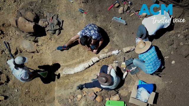 Fossil hunters unearth 'Rosetta stone' of dinosaurs in Aussie Outback