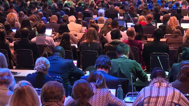 La humanidad se ha convertido en un arma de extinción masiva , advierte jefe de ONU