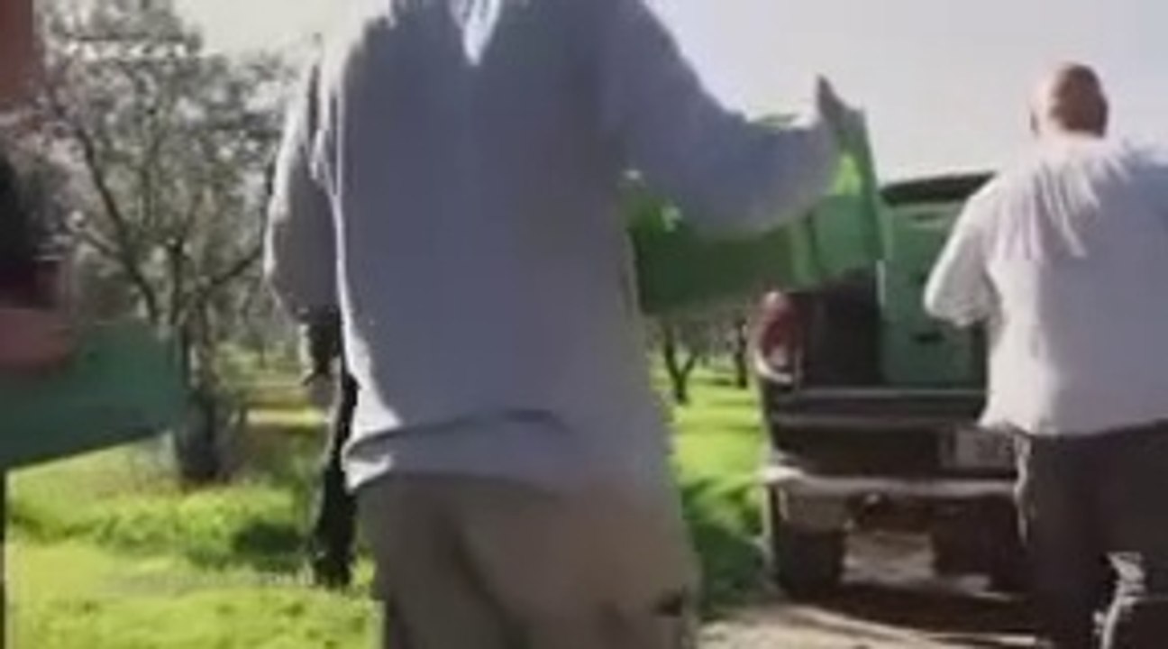 Η Γη της Ελιάς- Επεισόδιο 61 part 1/1 part 1/1