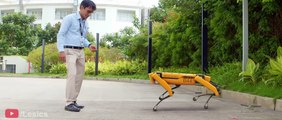 El robot Spot de Boston Dynamics | ¡Todos sus SECRETOS de ingeniería!