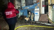 Metruk binada yangın: 2 sokak köpeği kurtarıldı