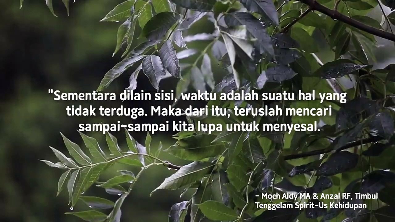 Filsafat Quotes Kehidupan