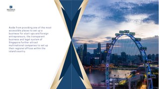 Guide to Audit and Compliance for Foreign Investors in Singapore (2)